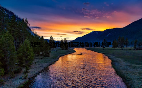 我想, 这就是木槿花盆栽的魅力吧