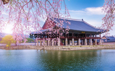 冬季阳光较弱时, 可适当遮阴