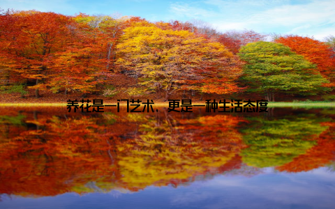 养花是一门艺术, 更是一种生活态度