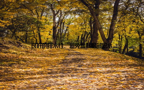 良好的排水性, 避免盆栽根部积水