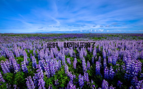 此时, 就可以采摘了