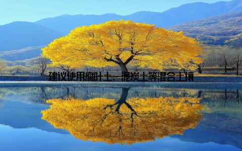 建议使用腐叶土、泥炭土等混合土壤