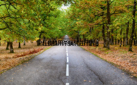 2红蜘蛛用杀螨剂进行防治