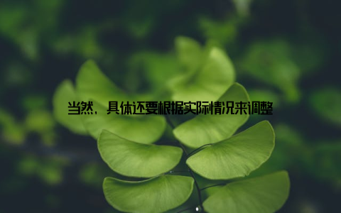 当然, 具体还要根据实际情况来调整