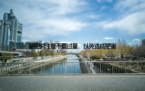 施肥时注意不要过量, 以免造成肥害