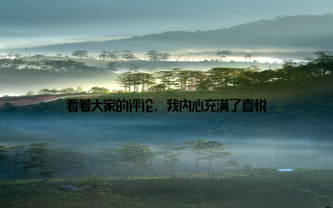 看着大家的评论, 我内心充满了喜悦