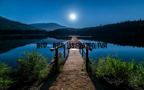 耐旱、耐阴, 适合放置在书房