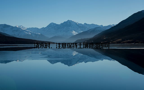 浇水时, 注意保持土壤微湿即可