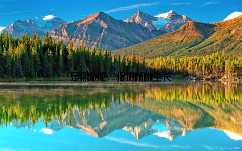 定期施肥, 促进植株生长