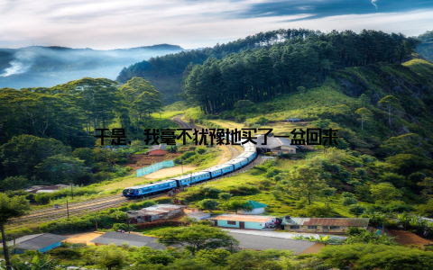 于是, 我毫不犹豫地买了一盆回来