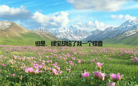 但是, 绿宝却给了我一个惊喜