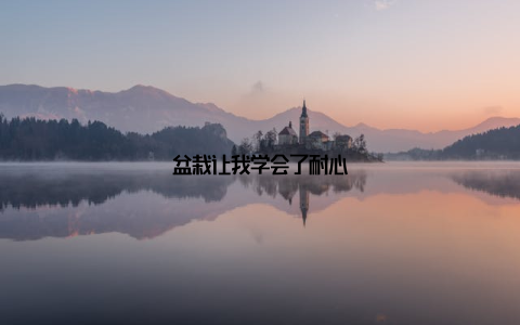 盆栽让我学会了耐心