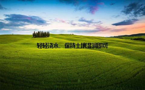 轻轻浇水, 保持土壤湿润即可