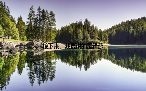 接下来, 我要说的是绿萝