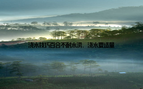 浇水技巧百合不耐水涝, 浇水要适量