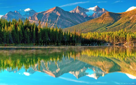 水分保持土壤微湿, 避免积水