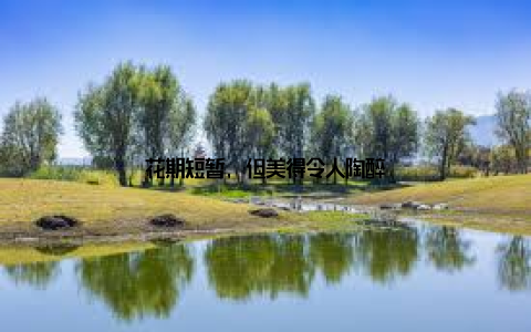 花期短暂, 但美得令人陶醉