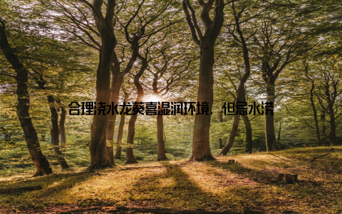 合理浇水龙葵喜湿润环境, 但忌水涝