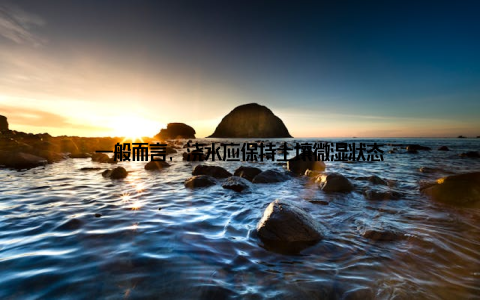 一般而言, 浇水应保持土壤微湿状态