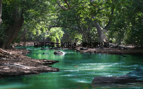 施肥月季生长迅速, 需定期施肥