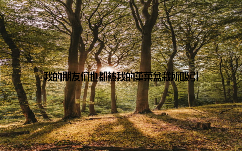 我的朋友们也都被我的堇菜盆栽所吸引