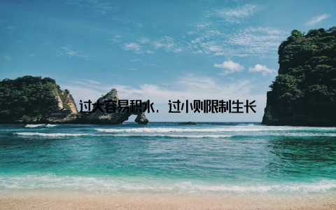 过大容易积水, 过小则限制生长