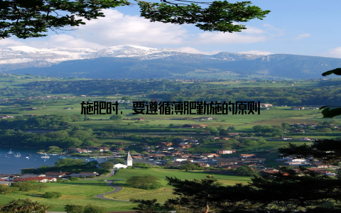 施肥时, 要遵循薄肥勤施的原则