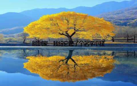 回到家, 我给它起了个名字小绿