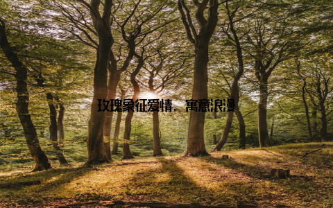 玫瑰象征爱情, 寓意浪漫