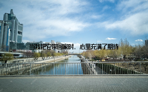 当我把它带回家时, 心里充满了期待