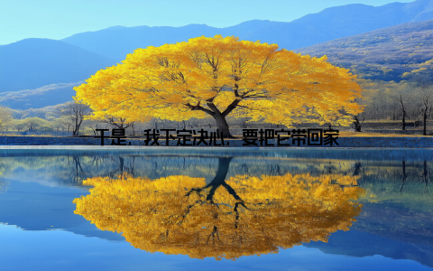 于是, 我下定决心, 要把它带回家