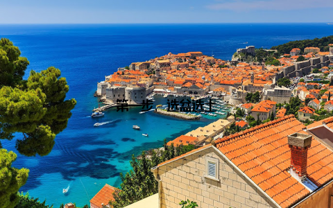 第一步, 选盆选土