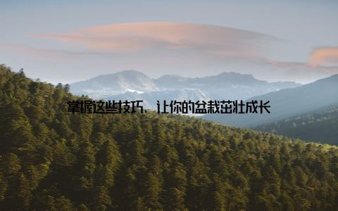 掌握这些技巧, 让你的盆栽茁壮成长