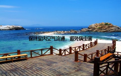 保持室内空气流通, 避免病虫害