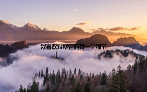 我喜欢观察它的每一个细节