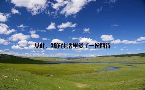 从此, 我的生活里多了一份期待