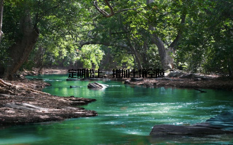 定期松土, 增加土壤空隙