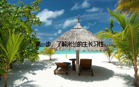 第一步, 了解米兰的生长习性