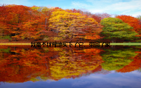 我毫不犹豫地买下了它, 带回了家