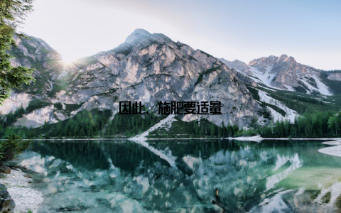 因此, 施肥要适量