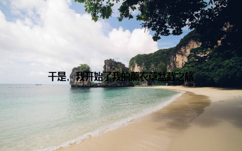 于是, 我开始了我的薰衣草盆栽之旅