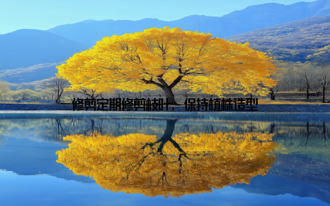 修剪定期修剪枝叶, 保持植株造型