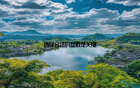 选择合适的盆栽是关键