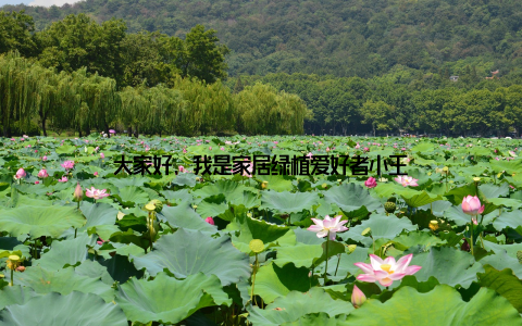 大家好, 我是家居绿植爱好者小王