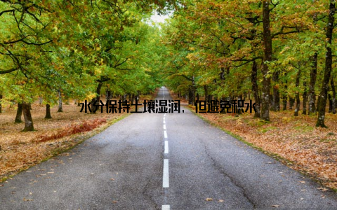 水分保持土壤湿润, 但避免积水