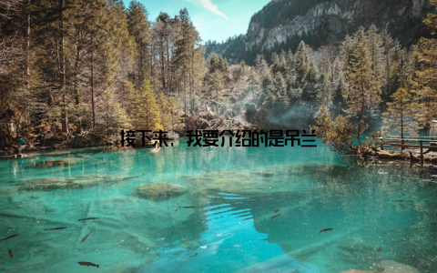 接下来, 我要介绍的是吊兰