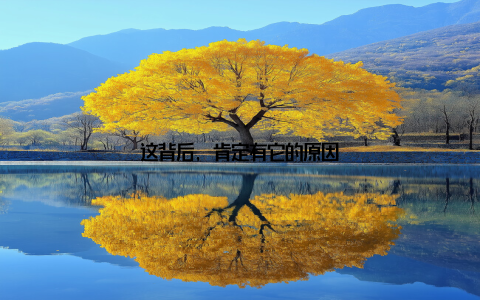 这背后, 肯定有它的原因