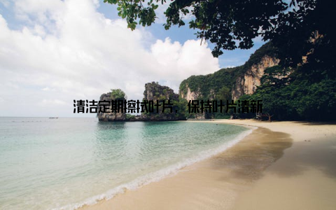 清洁定期擦拭叶片, 保持叶片清新