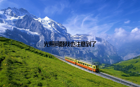 光照问题我也注意到了