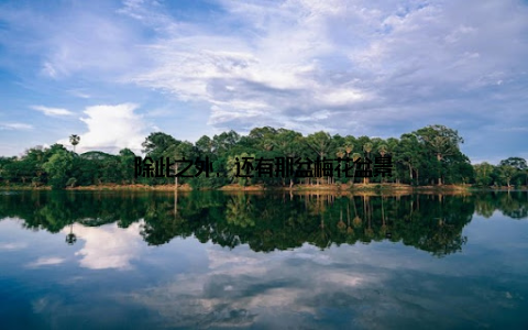 除此之外, 还有那盆梅花盆景